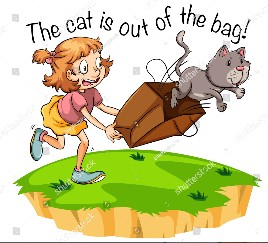 expresso idiomtica cat out of the bag